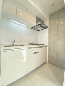 LAPiS恵比寿Ⅱ（ラピス恵比寿Ⅱ）404の室内7