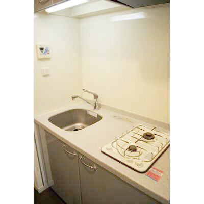 下目黒3丁目11階賃貸マンション1101の室内5