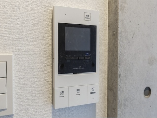 リビオメゾン都立大学105の室内13