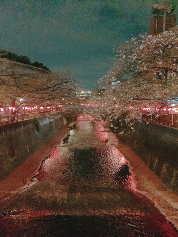 クオリア目黒大橋ウエスト901の室内10