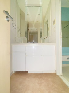 クオリア目黒大橋ウエスト901の室内6