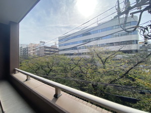 クオリア目黒大橋ウエスト901の室内4