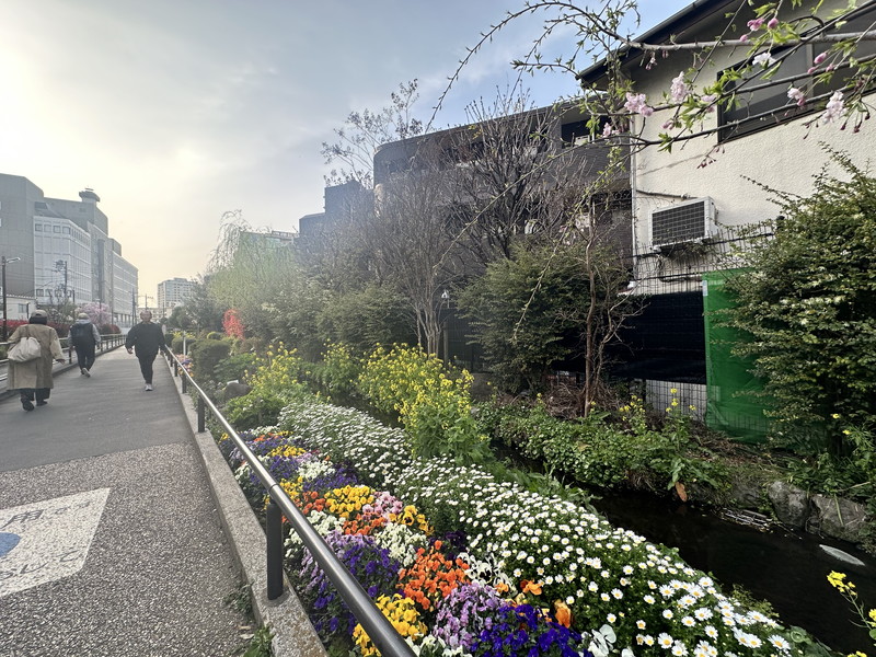 クオリア目黒大橋ウエスト901の室内16