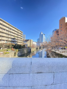 ニュー目黒フラワーマンション1204の室内13