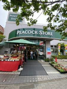 ステージファースト桜新町303の室内16