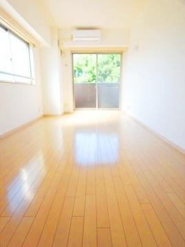 パレステュディオ南青山701の室内2