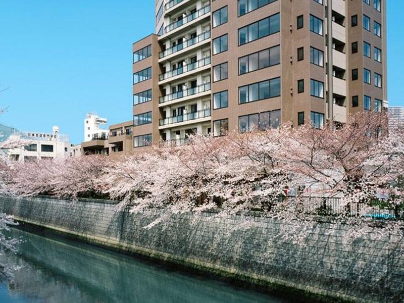 MFPR目黒タワー604の室内7