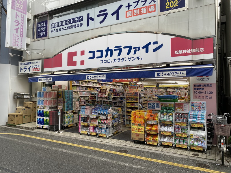 ソサエティ桜新町307の室内17