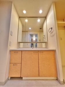 クラッサ目黒603の室内5