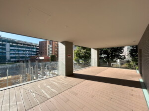 メゾンビスタ渋谷宇田川301の室内3