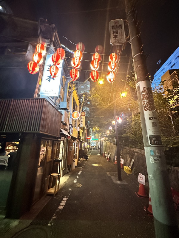 メゾンビスタ渋谷宇田川301の室内9