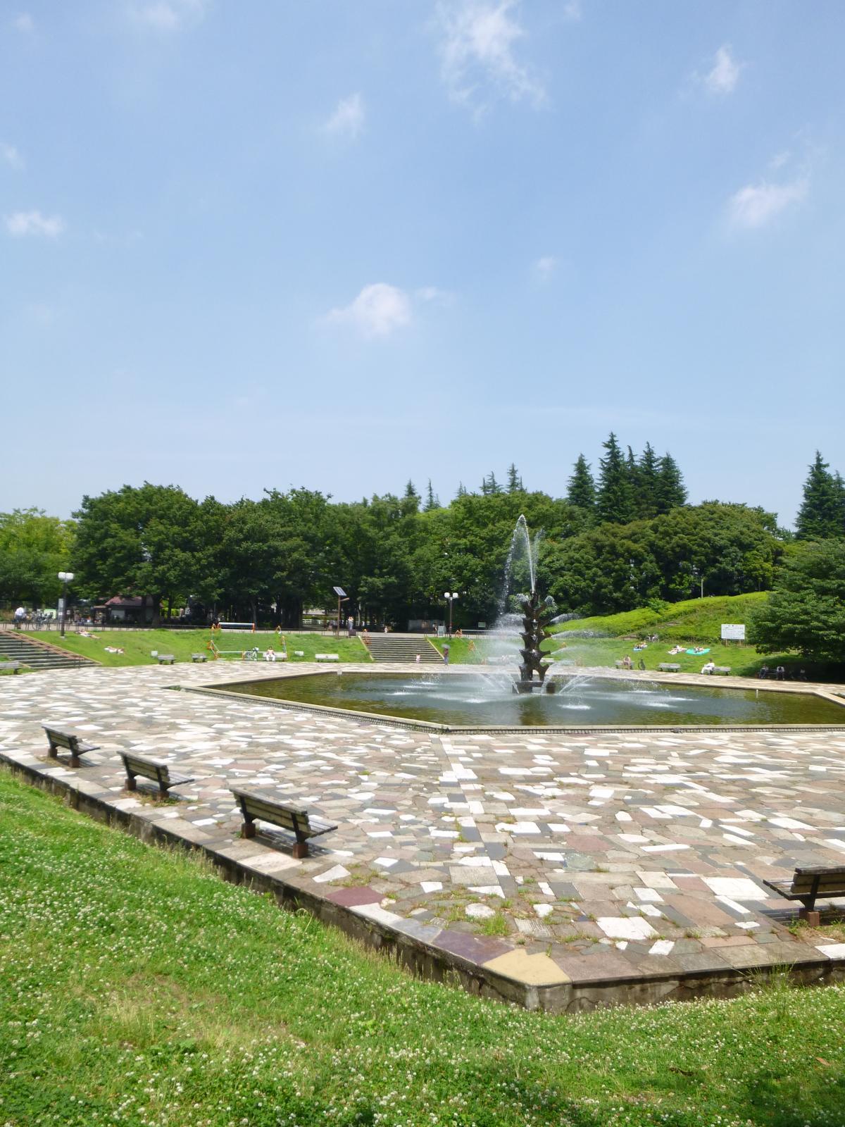 カスタリア三宿215の室内13