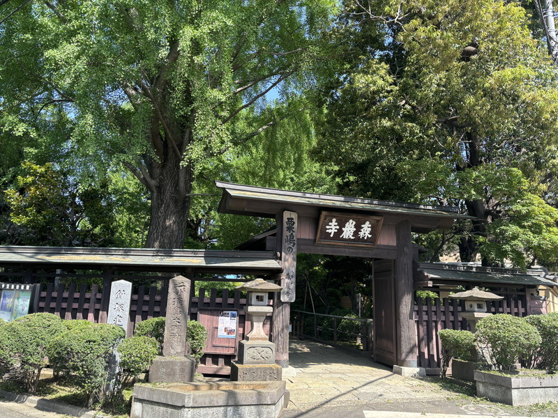 プリマヴェーラ代沢101の室内18