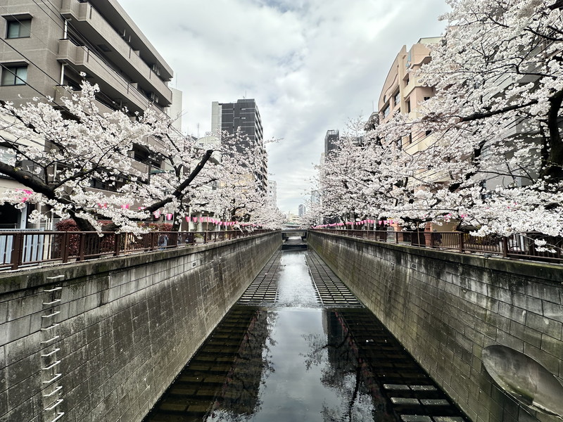 大橋1丁目マンション（物件名非掲載）-の室内12