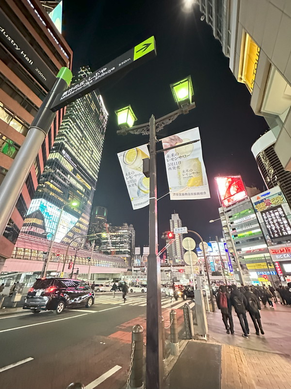 ステージファースト恵比寿東302の室内10