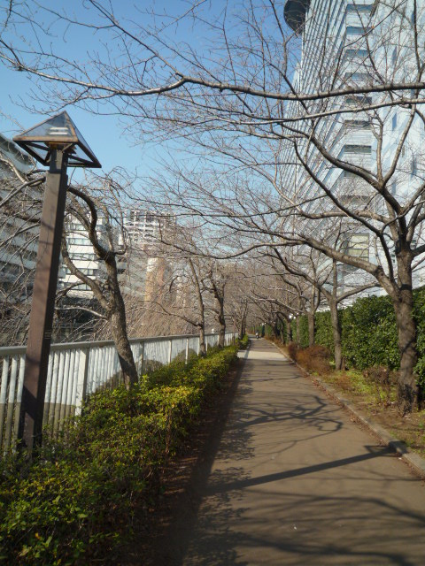 ベルファース目黒504の室内13