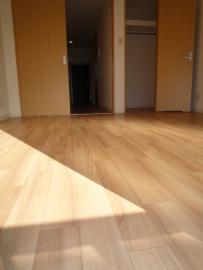 ソレイユ学芸大学103の室内3