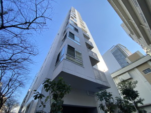 グランディオール広尾テラス601の室内1