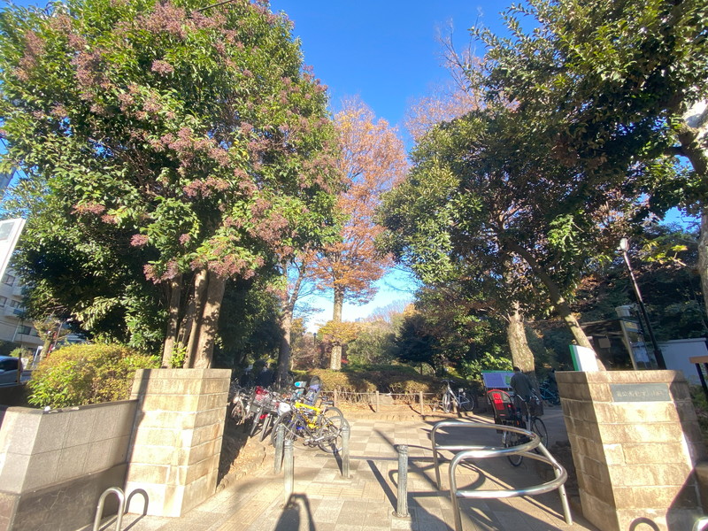 グランディオール広尾テラス601の室内10