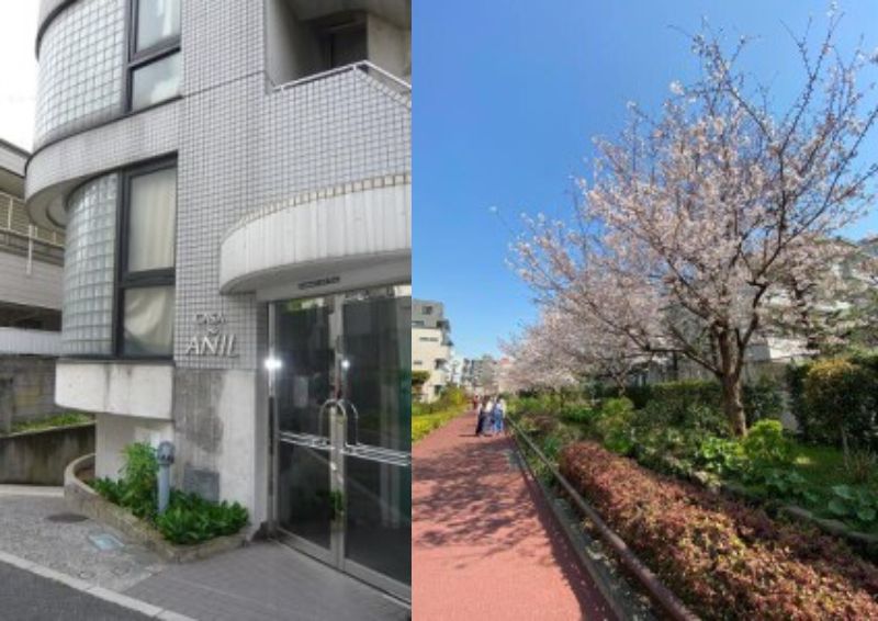 カーサアニール301の外観