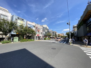 グランフラット桜新町401の室内17