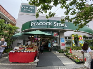 グランフラット桜新町401の室内18