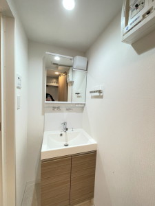 グランフラット桜新町401の室内8