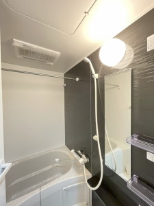 グランフラット桜新町401の室内9