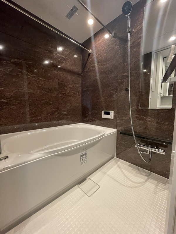 Urban Breeze 恵比寿(アーバンブリーズ恵比寿)1301の室内15