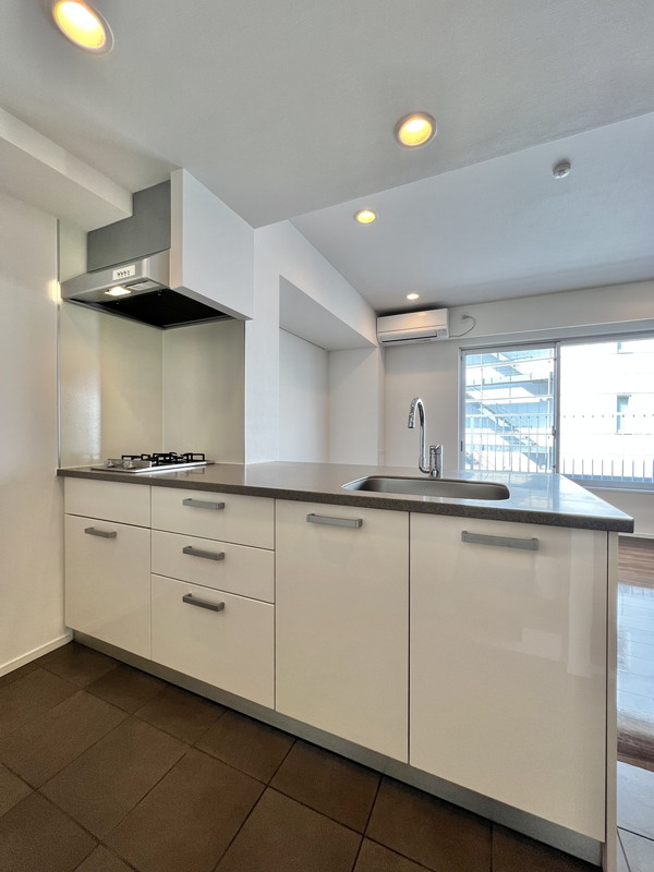 オーパスレジデンス恵比寿南316の室内6