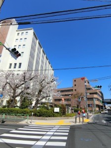 ヨークレジデンス105の室内5