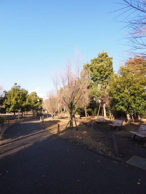 MDM池尻大橋Ⅱ101の室内14