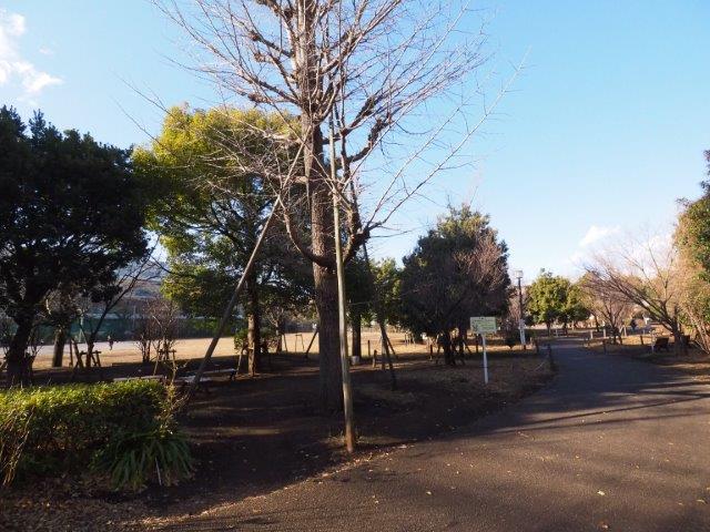 MDM池尻大橋Ⅱ101の室内11