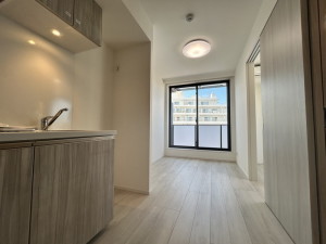 RELUXIA三軒茶屋（リルシア三軒茶屋）103の室内3