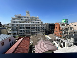 RELUXIA三軒茶屋（リルシア三軒茶屋）103の室内6