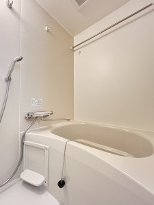 RELUXIA三軒茶屋（リルシア三軒茶屋）103の室内9