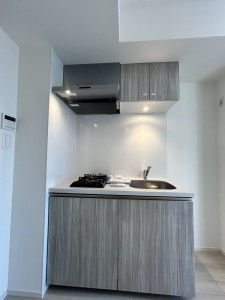 RELUXIA三軒茶屋（リルシア三軒茶屋）103の室内7