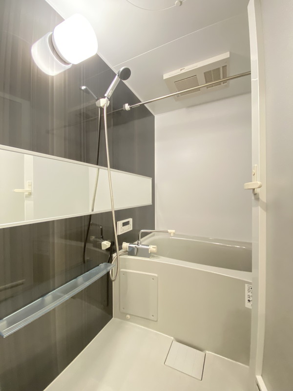SOLASIA residence 都立大学102の室内5