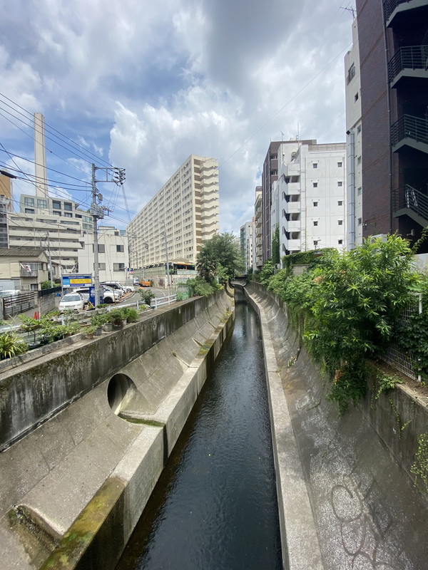 フレアージュ恵比寿502の室内10
