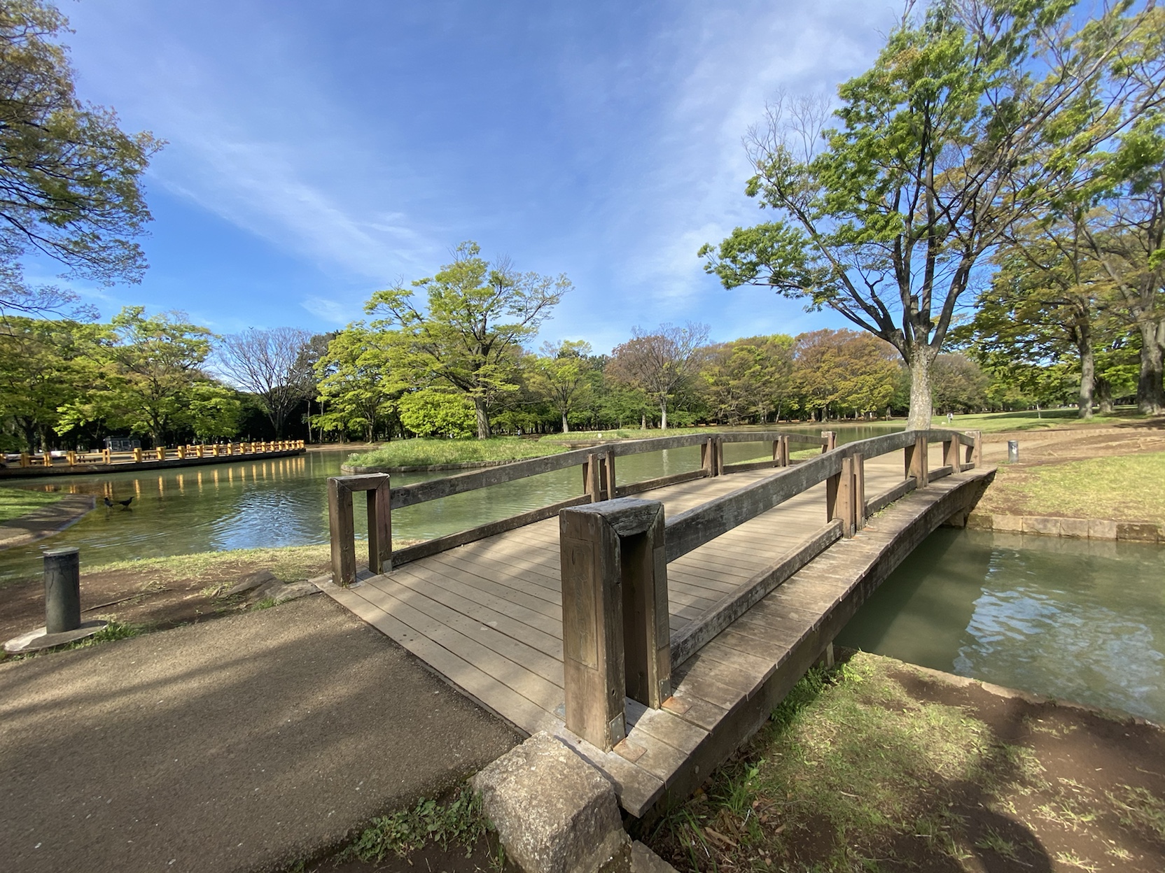 レジディア代々木Ⅱ0103の室内9