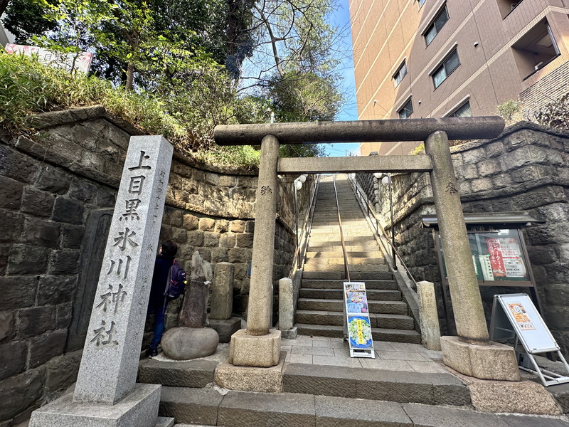 ローレルアイ目黒大橋203の室内15