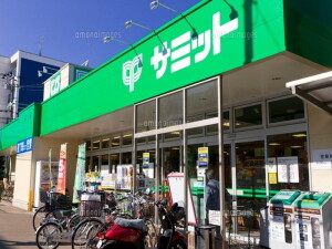 SOU桜新町Ⅱ（ソウ桜新町Ⅱ）201の室内9