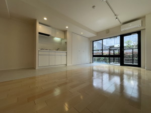 JMFレジデンス世田谷三宿212の室内3