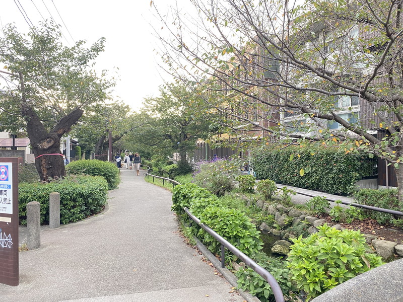 Casa Shimokita(カーサシモキタ)201の室内10