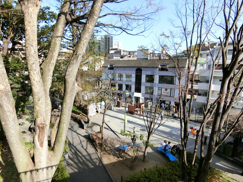 ウィスティリアコート代官山202の室内12