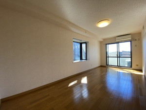 日神パレステージ三軒茶屋113の室内3