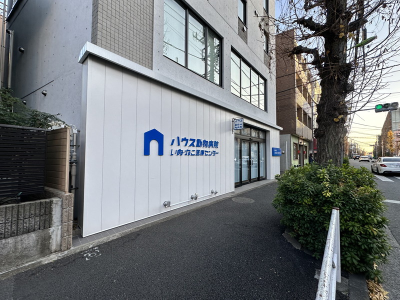エルファーロ駒沢公園Ⅰ302の室内12
