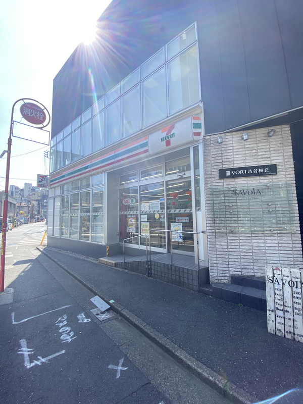カスタリア渋谷櫻丘207の室内18