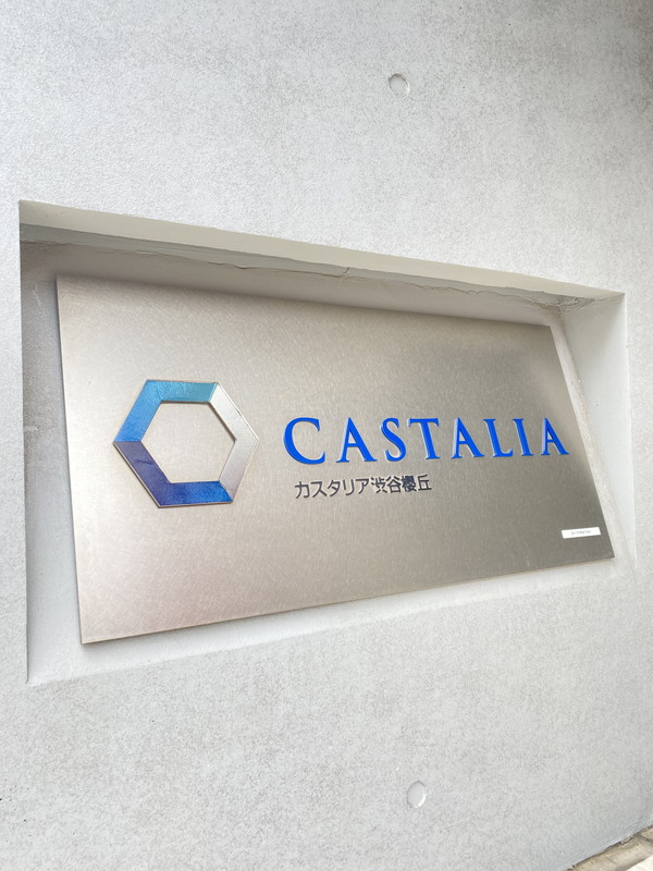 カスタリア渋谷櫻丘207の室内8
