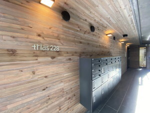 trias228(トリアス228)101の室内10